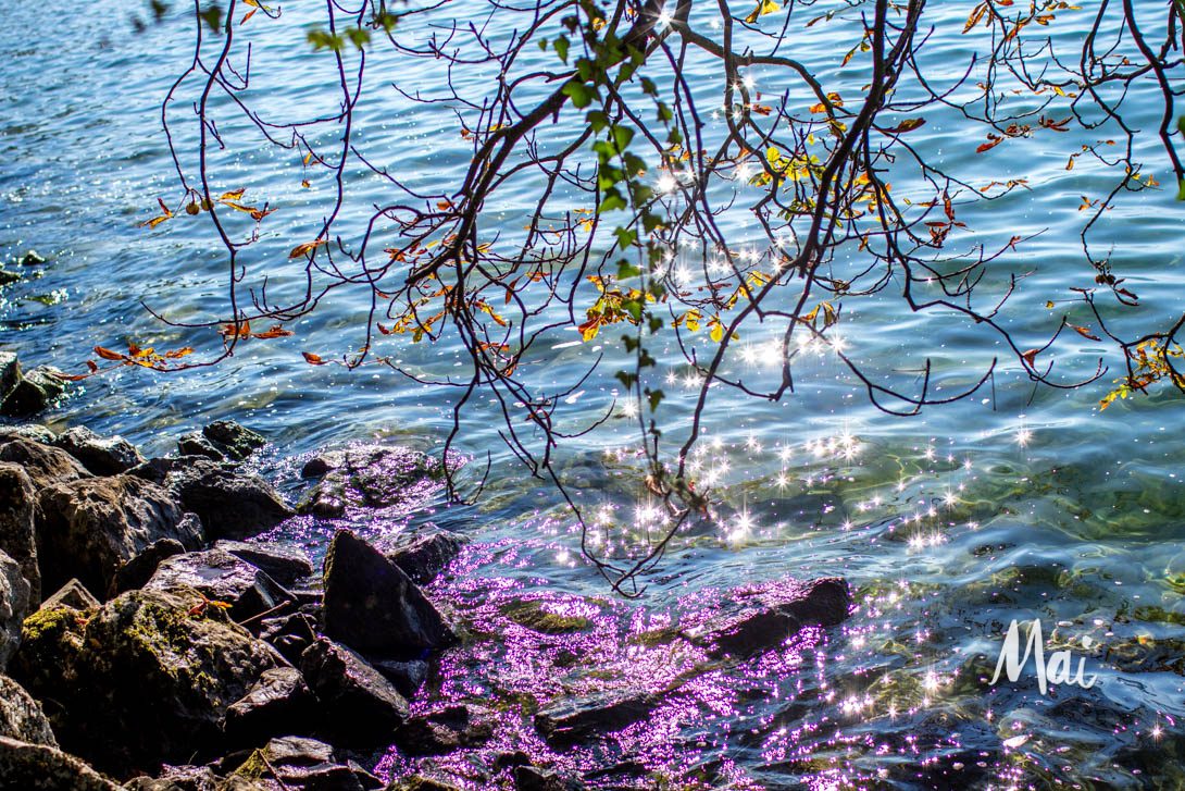 THE REAL MEANING OF “PURPLE RAIN” – PRINCE SONG INTERPRETATION